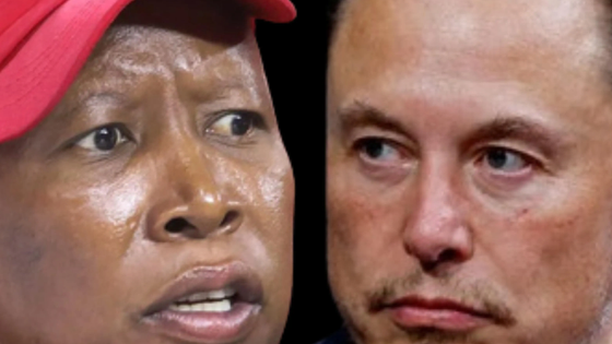 Julius Malema an international criminal, Elon Musk an enemy of South Africa, bitter spat intensifies